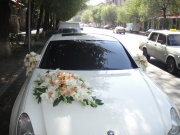 N13