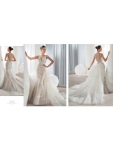 Demetrios 517